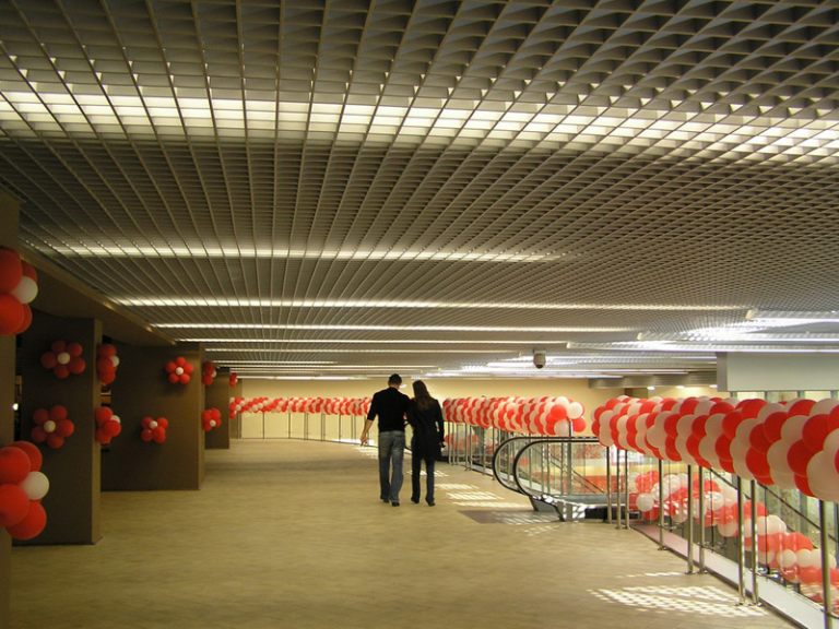 41376_yacheistye_potolok_grilyato_reshetka